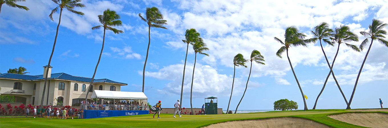 Sony Open in Hawaii 2024